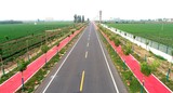 孟州市“四好农村路”绿化工程