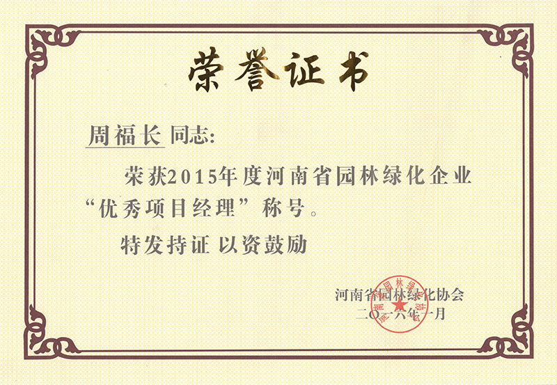 2015年优秀项目经理